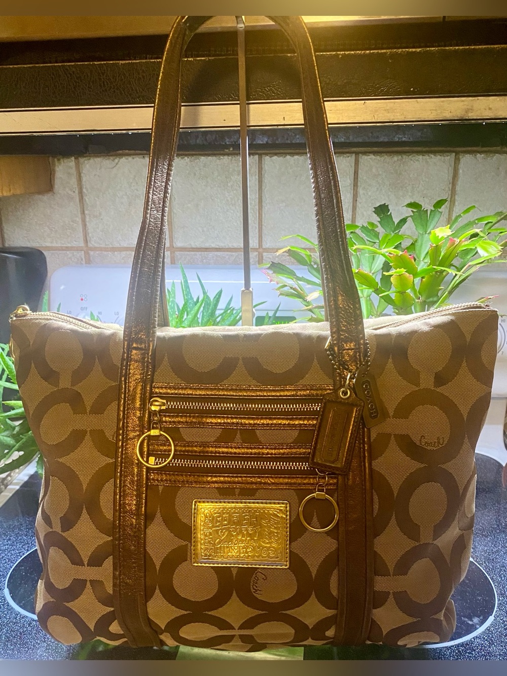 Coach Poppy Op Art Glam Tote Bag (Style #13826)